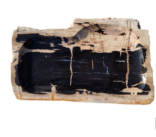 Large Petrified Stone Trays