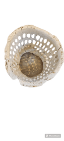 Unusual Teak Bowl or Vase