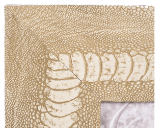 Ostrich Shin Leather Photo Frame