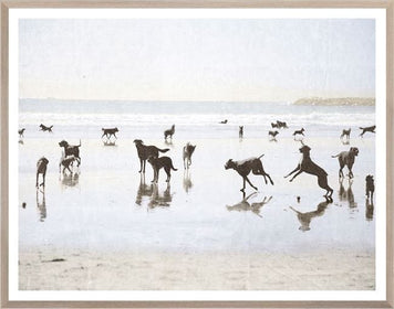 Fun Framed Print of Dogs at The Beach