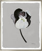 Giclee Fine Art Print, Grey Tulips, signed