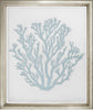 Framed Blue Corals