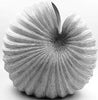 Ribbed Pinched Nautilus Vases - Two Colors