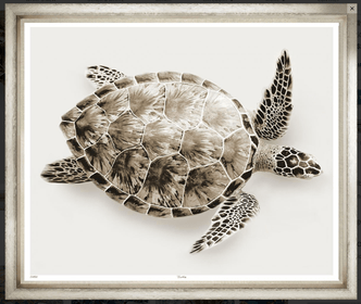 Color Sea Turtle Glicee Print