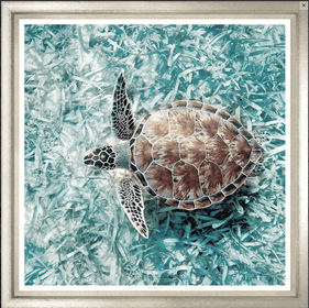 Color Sea Turtle Glicee Print