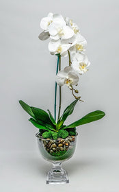 Single Faux Phalaenopsis Orchid in Glass Urn