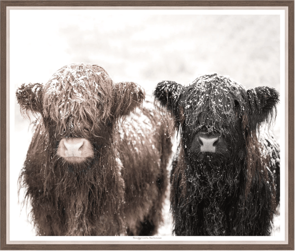 Shaggy Friends Framed Art