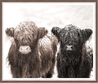 Shaggy Friends Framed Art