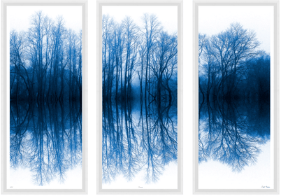 Blue Triptych - English Country Home