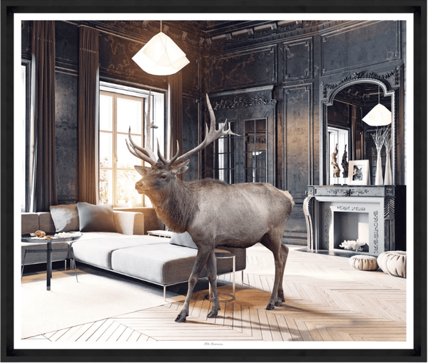 Elk Framed Photo