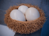 Ostrich Egg