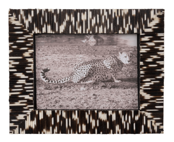 Porcupine Quill Photo Frame