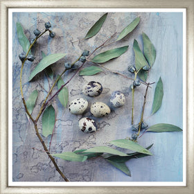 Natural Still Life Two