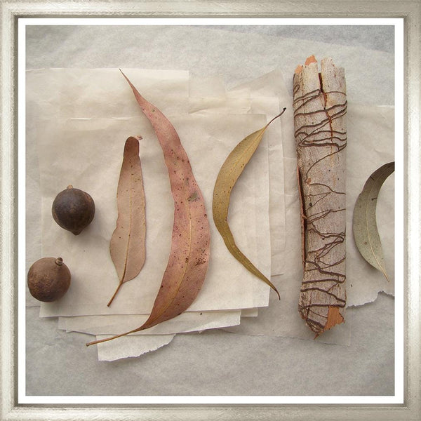 Natural Still Life One