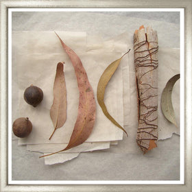 Natural Still Life One