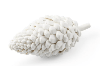 Laying Pine Cone Object