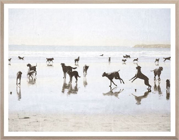 Fun Framed Print of Dogs at The Beach