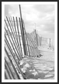 XL Photograph of Coastal Dunes and Fencing
