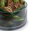 Faux Cymbidium Orchid Plants - Hamptons Furniture, Gifts, Modern & Traditional