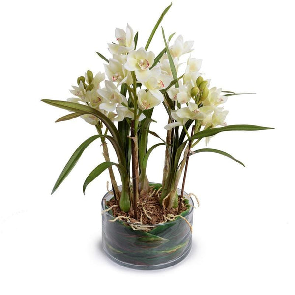 Faux Cymbidium Orchid Plants - Hamptons Furniture, Gifts, Modern & Traditional