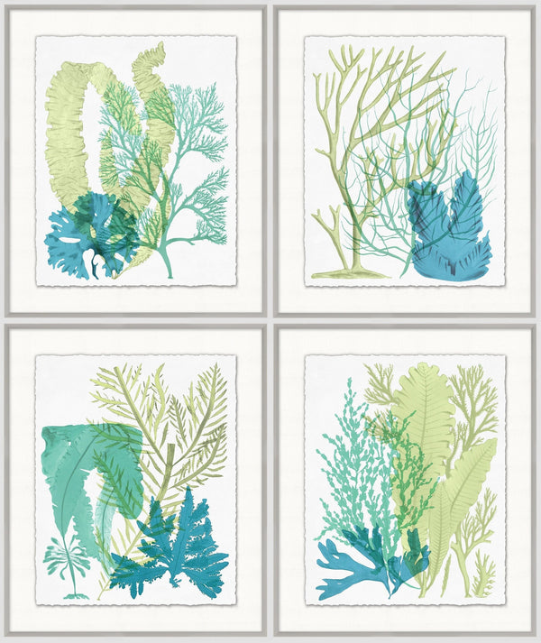 Green Coral Glicee Prints - Hamptons Furniture, Gifts, Modern & Traditional