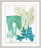 Green Coral Glicee Prints - Hamptons Furniture, Gifts, Modern & Traditional