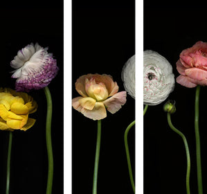 Dramatic Floral Tryptic