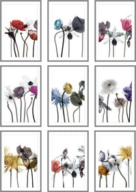 Framed Acrylic Flowers, silver frame, sizing options available