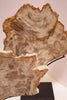 Collection of Prehistoric Petrified Wood Objects - Hamptons Furniture, Gifts, Modern & Traditional