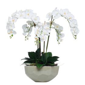 Multiple White Faux Phalaenopsis in Faceted Bowl