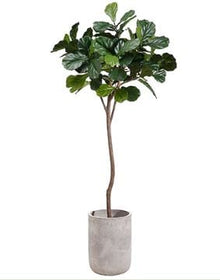 Faux Tree in Planter - Hamptons Furniture, Gifts, Modern & Traditional