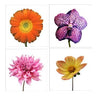 Bright Square Flower Prints on Plexiglass