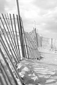Beach Fences - Black and White Photograph