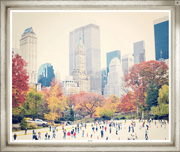Large Central Park Framed Photo