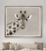Sepia Photo of an African Giraffe