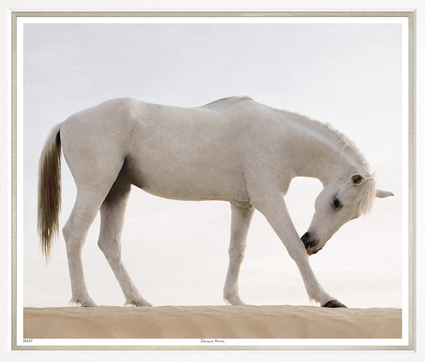 Desert Horse Print - Hamptons Furniture, Gifts, Modern & Traditional