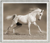 Free To Gallop Horse Print