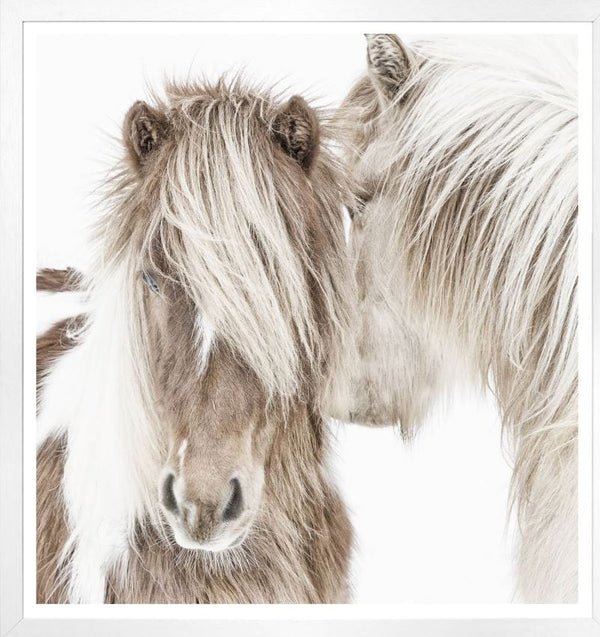 Winter Horses - Hamptons Furniture, Gifts, Modern & Traditional