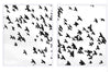 Flock of Birds in Flight - Hamptons Furniture, Gifts, Modern & Traditional