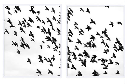 Flock of Birds in Flight - Hamptons Furniture, Gifts, Modern & Traditional