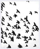 Flock of Birds in Flight - Hamptons Furniture, Gifts, Modern & Traditional