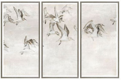 Sandpipers Triptych