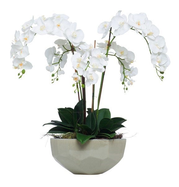 White Faux Phalaenopsis Orchid in Faceted Bowl