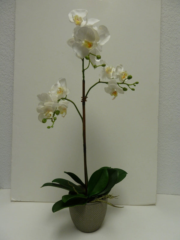 White Faux Phalaenopsis in Grey Bowl
