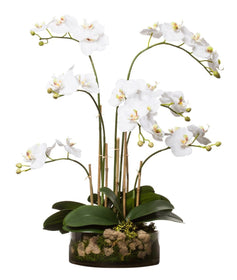 White Faux Phalaenopsis Orchid  in Clear Glass Bowl