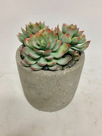Faux Succulent Pot