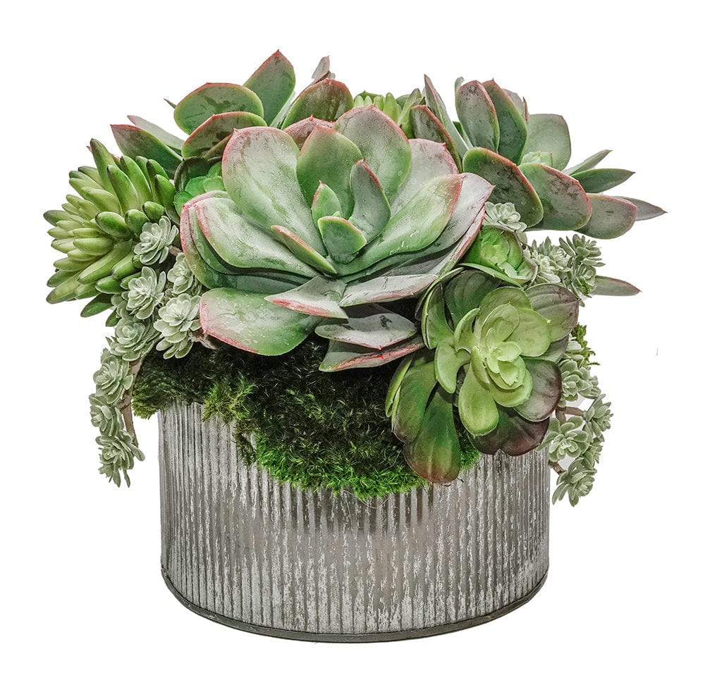 succulents in tin pots Mixed Faux Succulents in Tin Pot – English Country Home