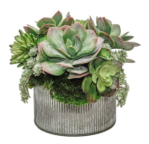 Mixed Faux Succulents in Tin Pot