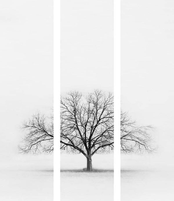 Black and White Tree Triptych - Hamptons Furniture, Gifts, Modern & Traditional