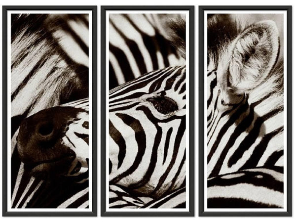 Zebra Triptych - Hamptons Furniture, Gifts, Modern & Traditional